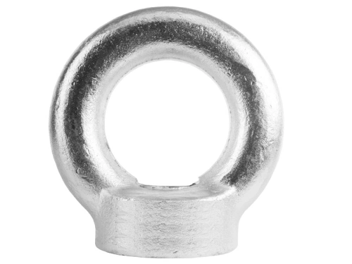 Рым-гайка TOR DIN 582 10мм (D) по ценам производителя в Воронеже с доставкой по всей России