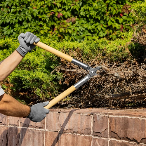 Сучкорез прямого реза, 500 мм, деревянные рукоятки, Горизонт, по ценам производителя в Воронеже с доставкой по всей России