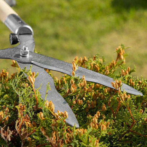 Кусторез, 650 мм, волнистые лезвия, деревянные рукоятки, Горизонт, по ценам производителя в Воронеже с доставкой по всей России