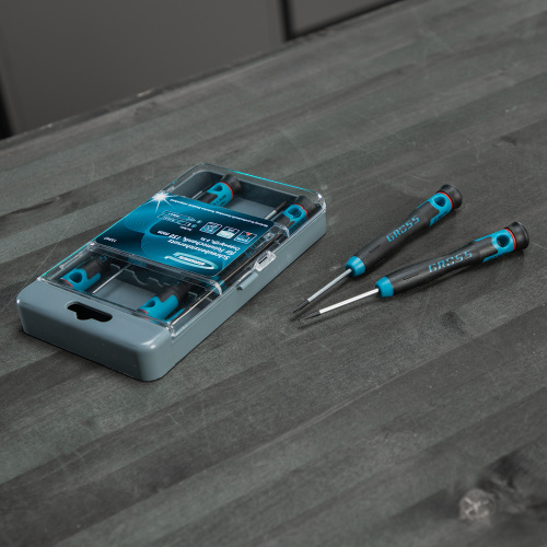 Набор отверток для точной механики, CrMo, двухкомпонентные рукоятки, 6 шт, пластиковый бокс Gross по ценам производителя в Воронеже с доставкой по всей России