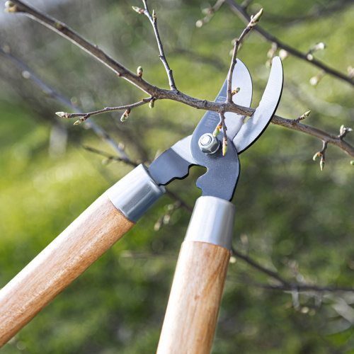 Сучкорез прямого реза, 640 мм, деревянные рукоятки, Palisad по ценам производителя в Воронеже с доставкой по всей России