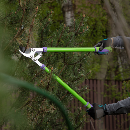 Сучкорез прямого реза, 750 мм, двухрычажный механизм, двухкомпонентные рукоятки, Palisad по ценам производителя в Воронеже с доставкой по всей России