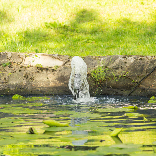 Насос фонтанный FNP90-39, 92 Вт, подъем 3,9 м, 3200 л/ч, колокольчик/каскад/гейзер Denzel по ценам производителя в Воронеже с доставкой по всей России