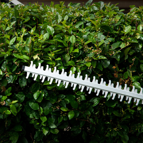 Кусторез аккумуляторный RBC510-36, Li-ion, 36 В, 4 Ач, нож 510 мм, поворотная ручка Denzel по ценам производителя в Воронеже с доставкой по всей России