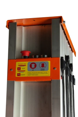 Подъемник мачтовый сетевой 125 кг 9/11 м TOR GTWY9-100 AC 220В 1-мачтовый купить в Москве с доставкой по всей России | ProtosMarket.ru