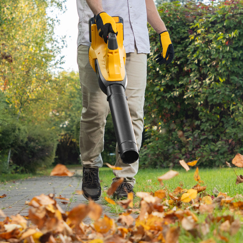 Воздуходувка аккумуляторная RB180-36, Li-ion, 36 В, 4 Ач, 180 км/ч, 820 м3/ч Denzel купить в Москве с доставкой по всей России | ProtosMarket.ru