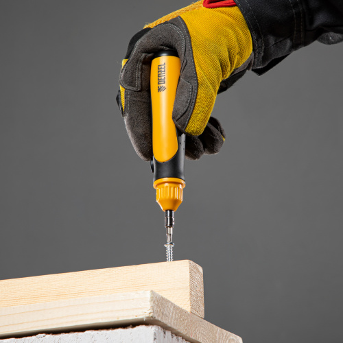 Отвертка реверсивная, механизм SmartPush mini 11 шт, CrMo Denzel по ценам производителя в Воронеже с доставкой по всей России