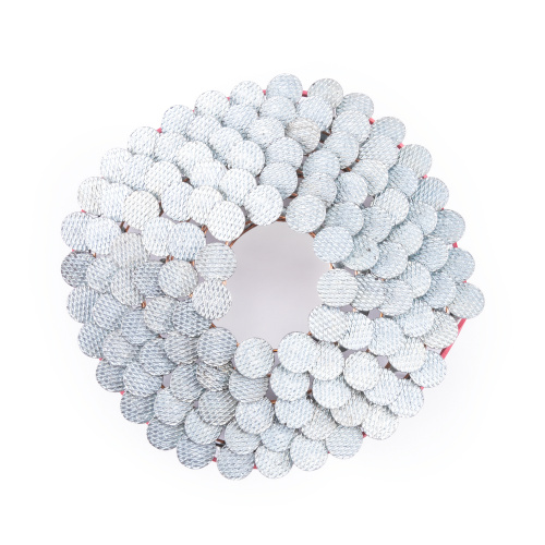 Гвоздь кровельный барабанный с кольцевой накаткой с цинковым покрытием 3,1 х 22 мм 120 шт. AERO по ценам производителя в Воронеже с доставкой по всей России