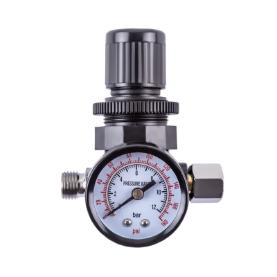 Регулятор давления со встроенным манометром 10 бар, 1/4" AERO по ценам производителя в Воронеже с доставкой по всей России