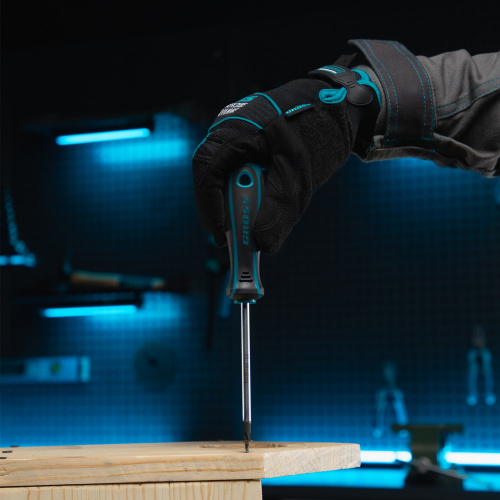 Набор инструментов, 1/4", 1/2", CrV, 120 зубьев, 78 предметов Gross по ценам производителя в Воронеже с доставкой по всей России