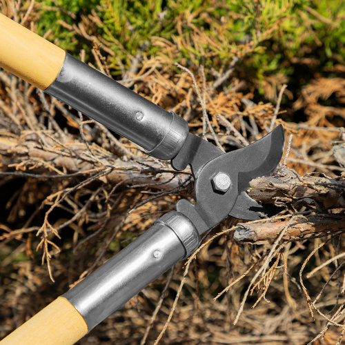 Сучкорез прямого реза, 500 мм, деревянные рукоятки, Горизонт, по ценам производителя в Воронеже с доставкой по всей России