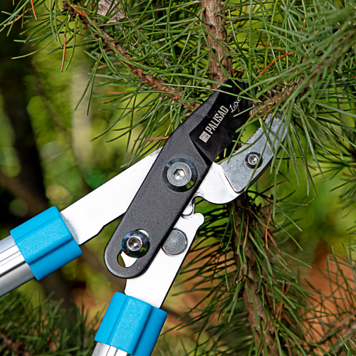 Сучкорез с наковальней, 560 - 740 мм, телескопические алюминиевые рукоятки, Luxe, Palisad по ценам производителя в Воронеже с доставкой по всей России