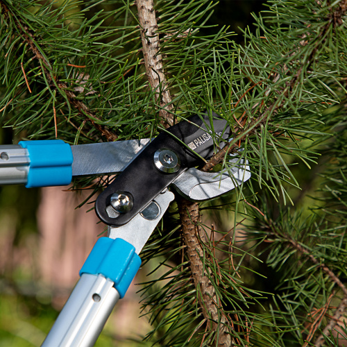 Сучкорез прямого реза, 560 - 735 мм, телескопические алюминиевые рукоятки, Luxe, Palisad по ценам производителя в Воронеже с доставкой по всей России