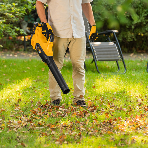 Воздуходувка аккумуляторная RB180-36, Li-ion, 36 В, 4 Ач, 180 км/ч, 820 м3/ч Denzel купить в Москве с доставкой по всей России | ProtosMarket.ru