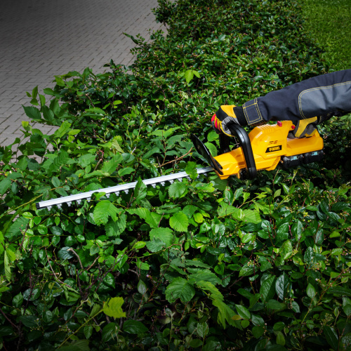 Кусторез аккумуляторный RBC510-36, Li-ion, 36 В, 4 Ач, нож 510 мм, поворотная ручка Denzel по ценам производителя в Воронеже с доставкой по всей России