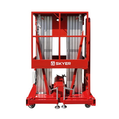 Двухмачтовый подъемник SKYER GTWY8-200 AC/DC купить в Москве с доставкой по всей России | ProtosMarket.ru