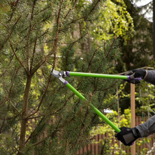 Сучкорез прямого реза, 700 мм, стальные обрезиненные рукоятки, Palisad по ценам производителя в Воронеже с доставкой по всей России