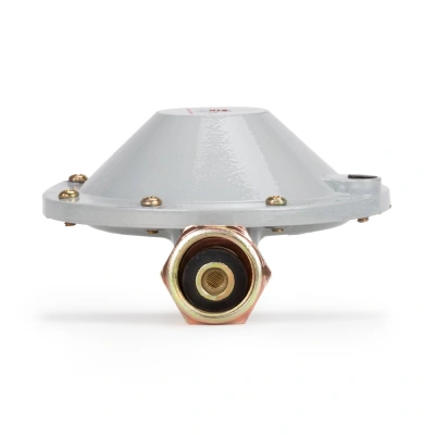 Редуктор бытовой пропановый РДСГ-1-1,2 купить в Москве с доставкой по всей России | ProtosMarket.ru