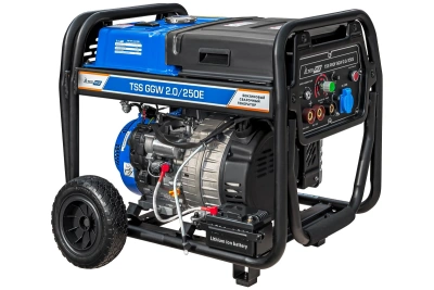 Бензиновый сварочный генератор TSS PROF GGW 2.0/250E купить в Москве с доставкой по всей России | ProtosMarket.ru