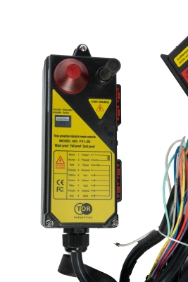 Комплект радиоуправления TOR F21-2D (380В, 2 кнопки, двухскоростной) по ценам производителя в Воронеже с доставкой по всей России