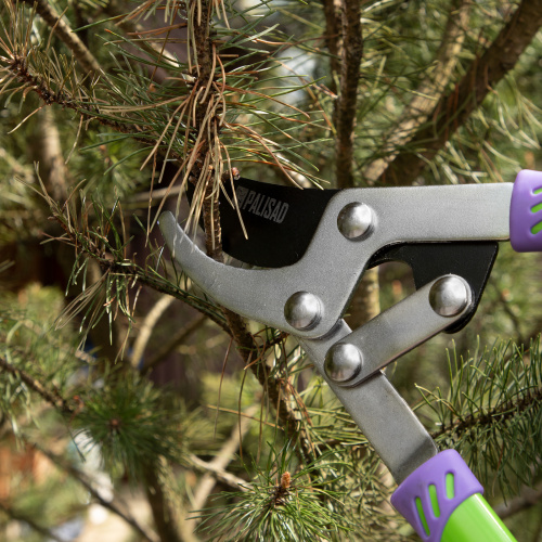 Сучкорез прямого реза, 750 мм, двухрычажный механизм, двухкомпонентные рукоятки, Palisad по ценам производителя в Воронеже с доставкой по всей России