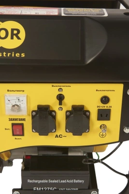 Генератор бензиновый 2,0 кВт 220В 15л с электростартером TOR TR2500E по ценам производителя в Воронеже с доставкой по всей России