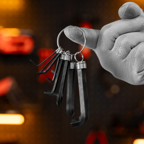 Набор ключей имбусовых HEX, 1.5-10 мм, CrV, 10 шт, оксидированные, на кольце Sparta по ценам производителя в Воронеже с доставкой по всей России